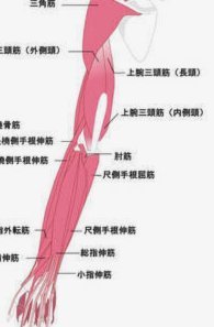 青训之道：董路的系统派与孙继海的草根派