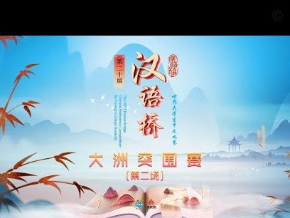 客观总结小将09荷兰和巴西比赛