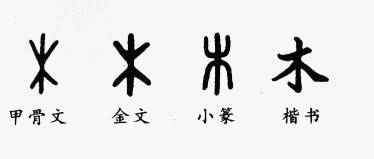 董路激将的“火花”：如何推动中国青训走向变革？