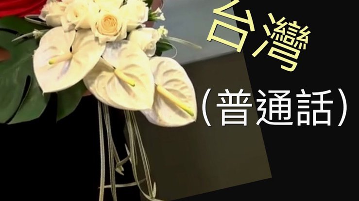今日多少申花球迷购票入场，只为亲眼见证武磊破门？