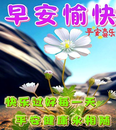 今天下午三点U13排位赛北京国安VS大连嗨球。